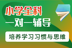 南京云巨石教育小學全科一對一課程
